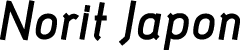 Norit Japon